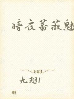 暗夜蔷薇魅