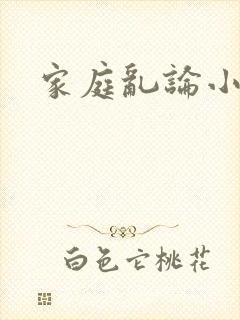 家庭乱论小说