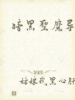 暗黑圣魔导