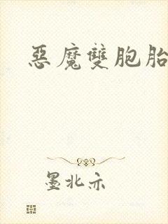 恶魔双胞胎