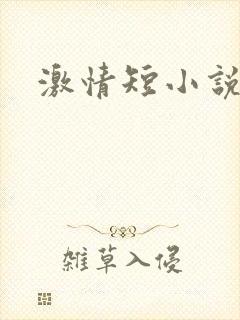 激情短小说