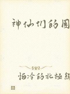 神仙们的团宠