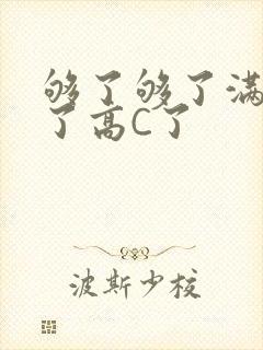够了够了满到C了高C了封面