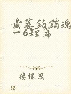 黄蓉的销魂夜1一6短篇
