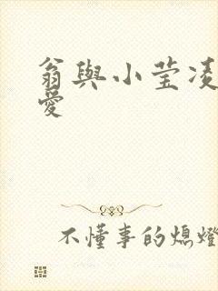翁与小莹凌晨欢爱
