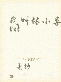 我叫林小喜小说txt