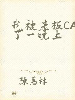 我被老板CAO了一晚上