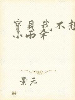 宝贝 我不想带小雨伞封面