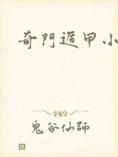 奇门遁甲小说