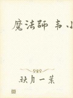魔法师 韦小宝