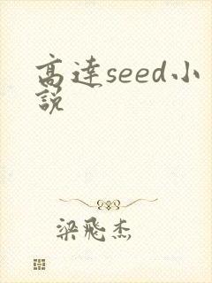 高达seed小说封面