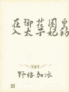 在御花园皇上进入太子妃的小说