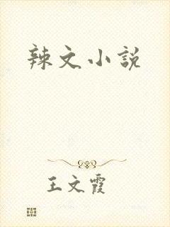 辣文小说封面