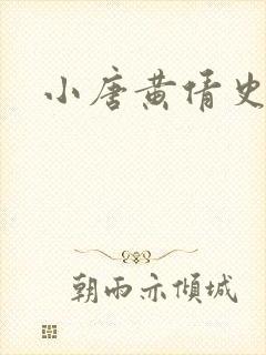 小唐黄倩史