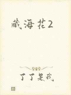 藏海花2