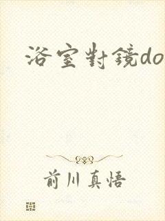 浴室对镜doi