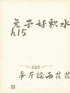 兔子好软水好多h15封面