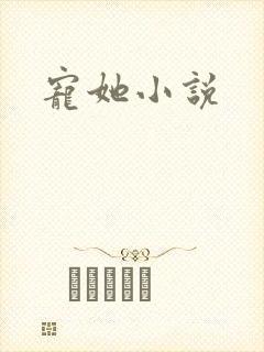 宠她小说封面