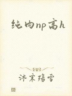纯肉np高h