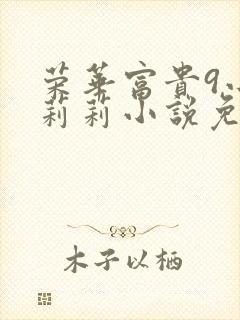 荣华富贵9小王莉莉小说免费阅读封面