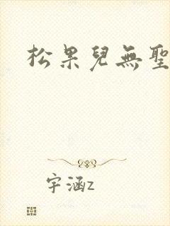 松果儿无圣光封面