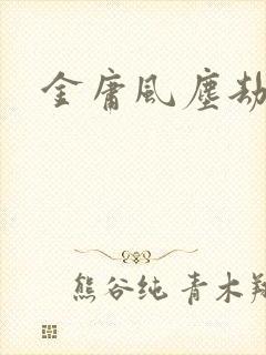金庸风尘劫封面