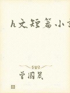 h文短篇小说封面