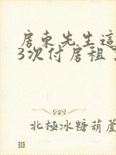 房东先生这是第3次付房租了封面