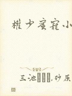 权少蜜宠小娇妻
