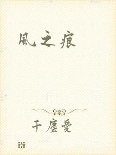风之痕封面