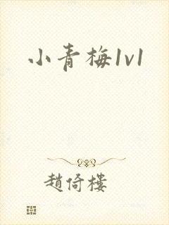 小青梅1v1