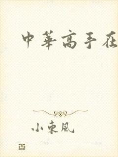 中华高手在异世封面