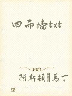 四面墙txt