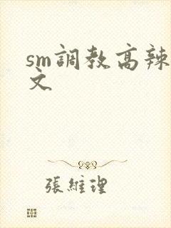 sm调教高辣h文