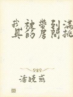 我被带到满是玩具的房间挑调作文