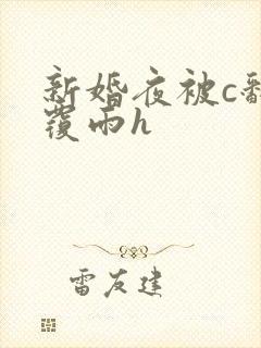 新婚夜被c翻云覆雨h封面