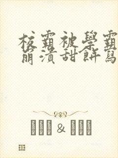 校霸被学霸玩到崩溃甜饼写手封面
