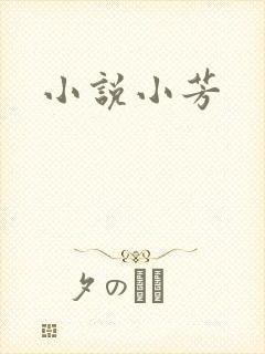 小说小芳封面