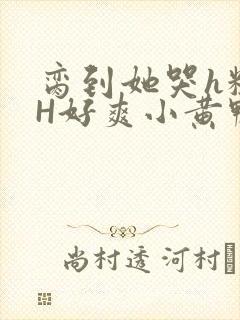 脔到她哭h粗话H好爽小黄鸭视频