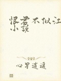恨君不似江楼月小说