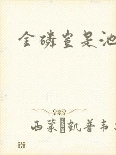 金磷岂是池中物封面