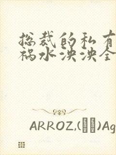 总裁的私有宝贝祸水泱泱全文阅读