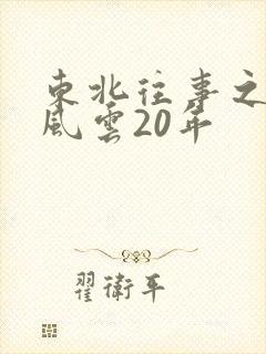 东北往事之黑道风云20年封面
