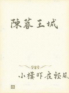 陈蓉王城封面