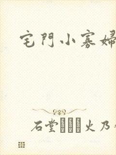宅门小寡妇