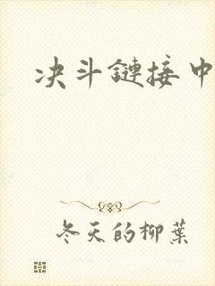 决斗链接中文网