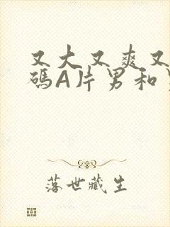 又大又爽又黄无码A片男和男封面