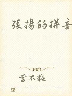 张扬的拼音封面