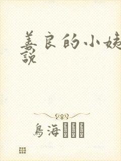 善良的小姨子小说