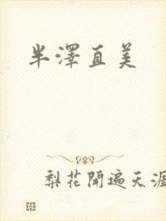 半泽直美封面
